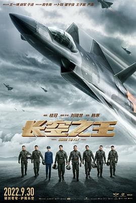 长空之王海报