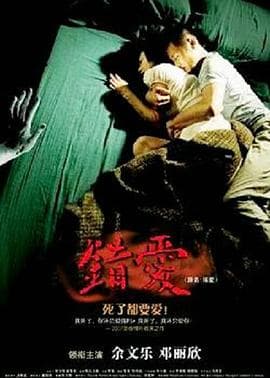 错爱2007海报