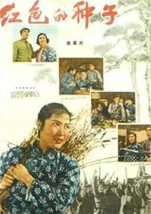 红色的种子海报