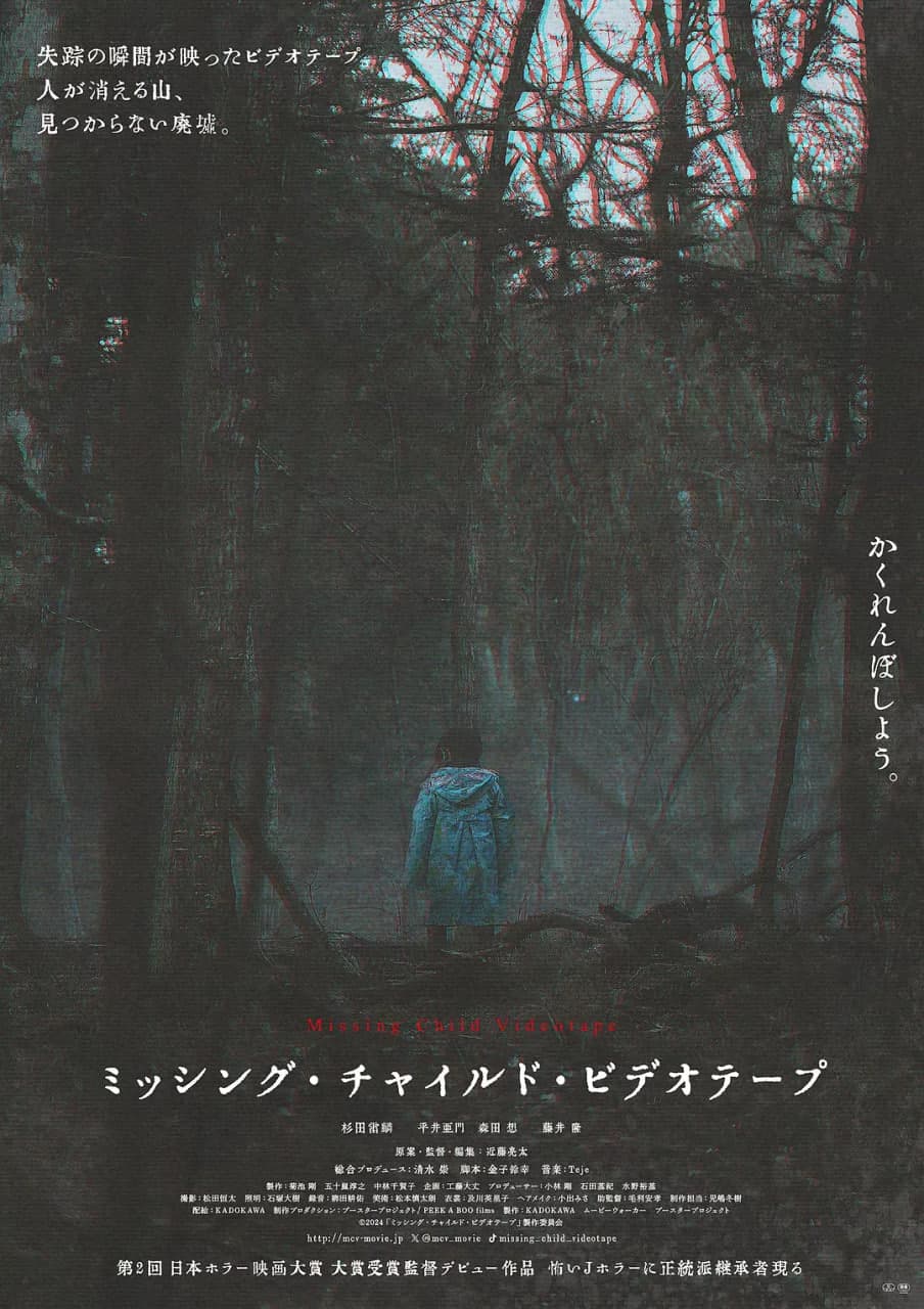 失踪儿童录像带海报