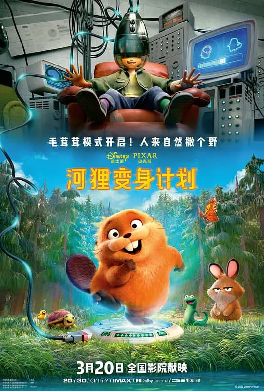 河狸变身计划海报
