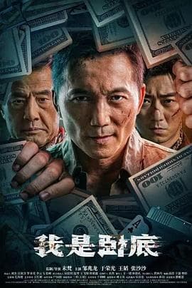 我是卧底海报