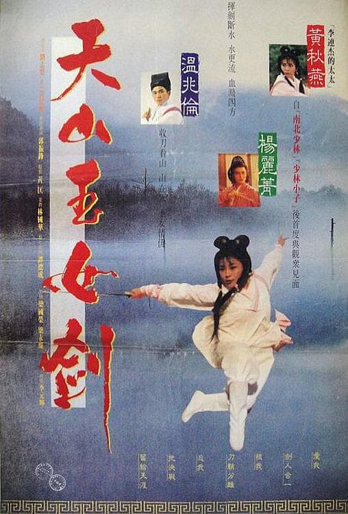 天山玉女剑海报